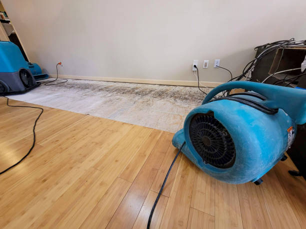 Professional Structural Drying technician working in Gordon, GA